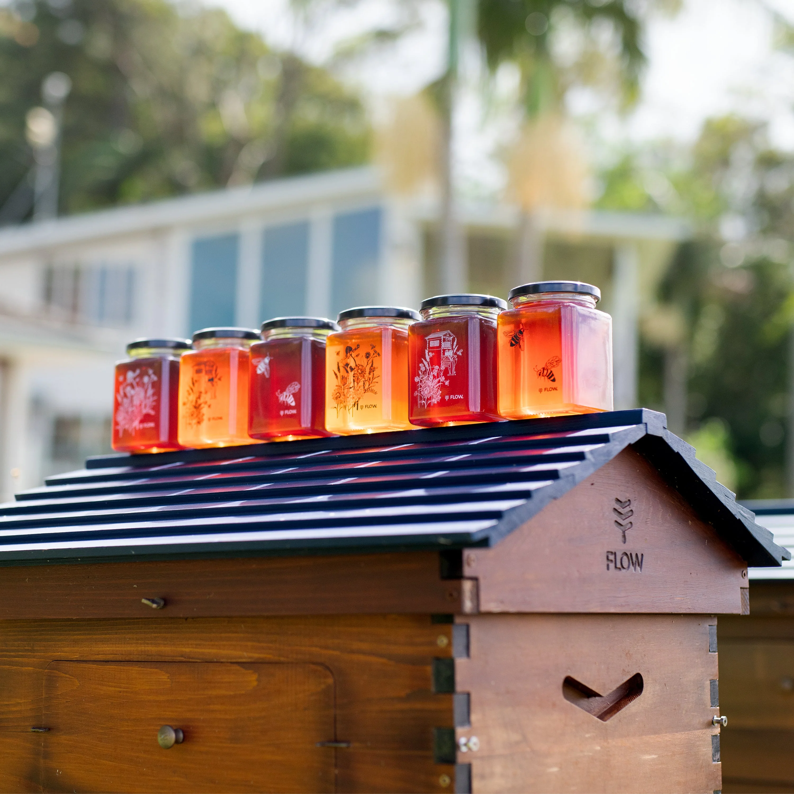 Flow Honey Jar Gift Set - Image 4