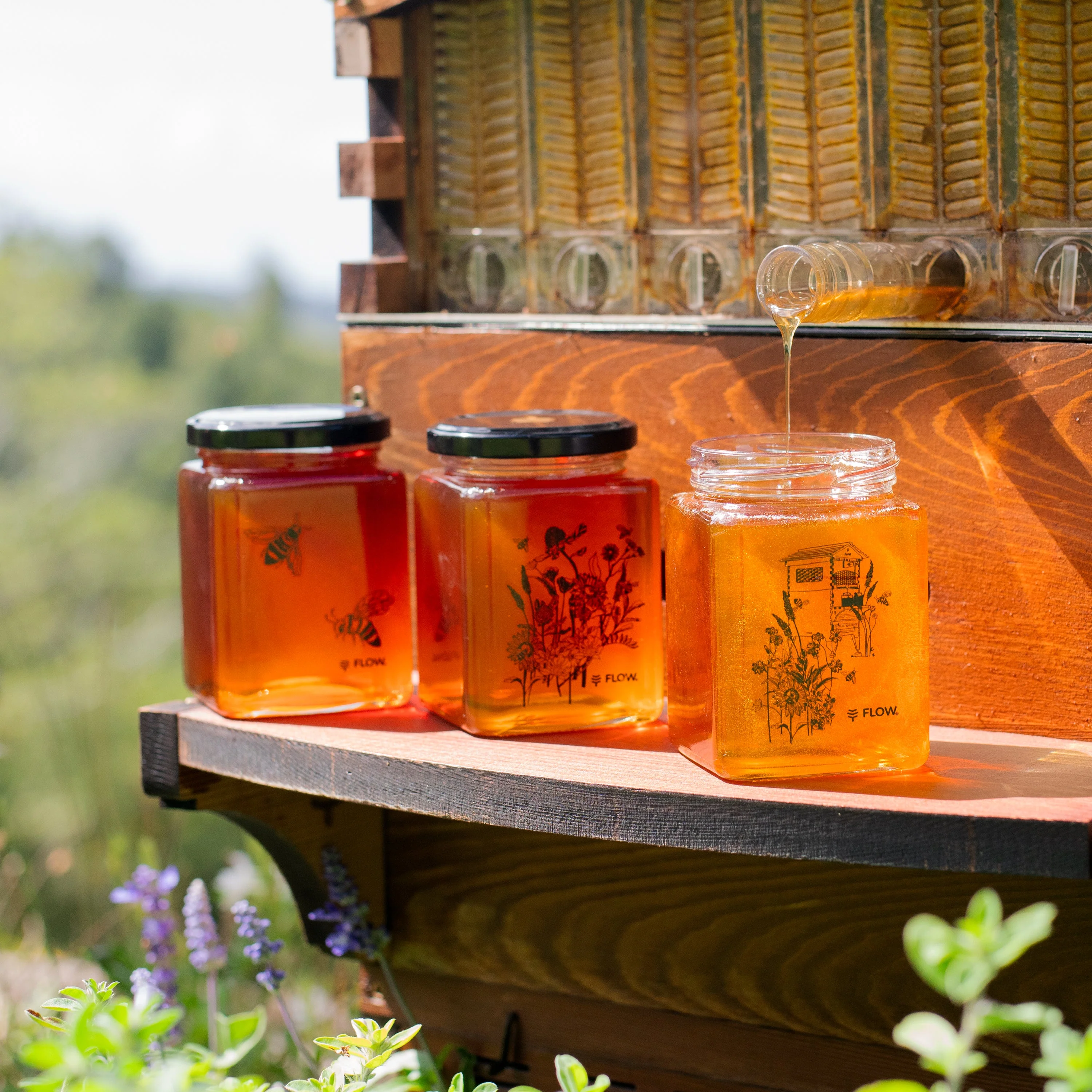 Flow Honey Jar Gift Set - Image 8