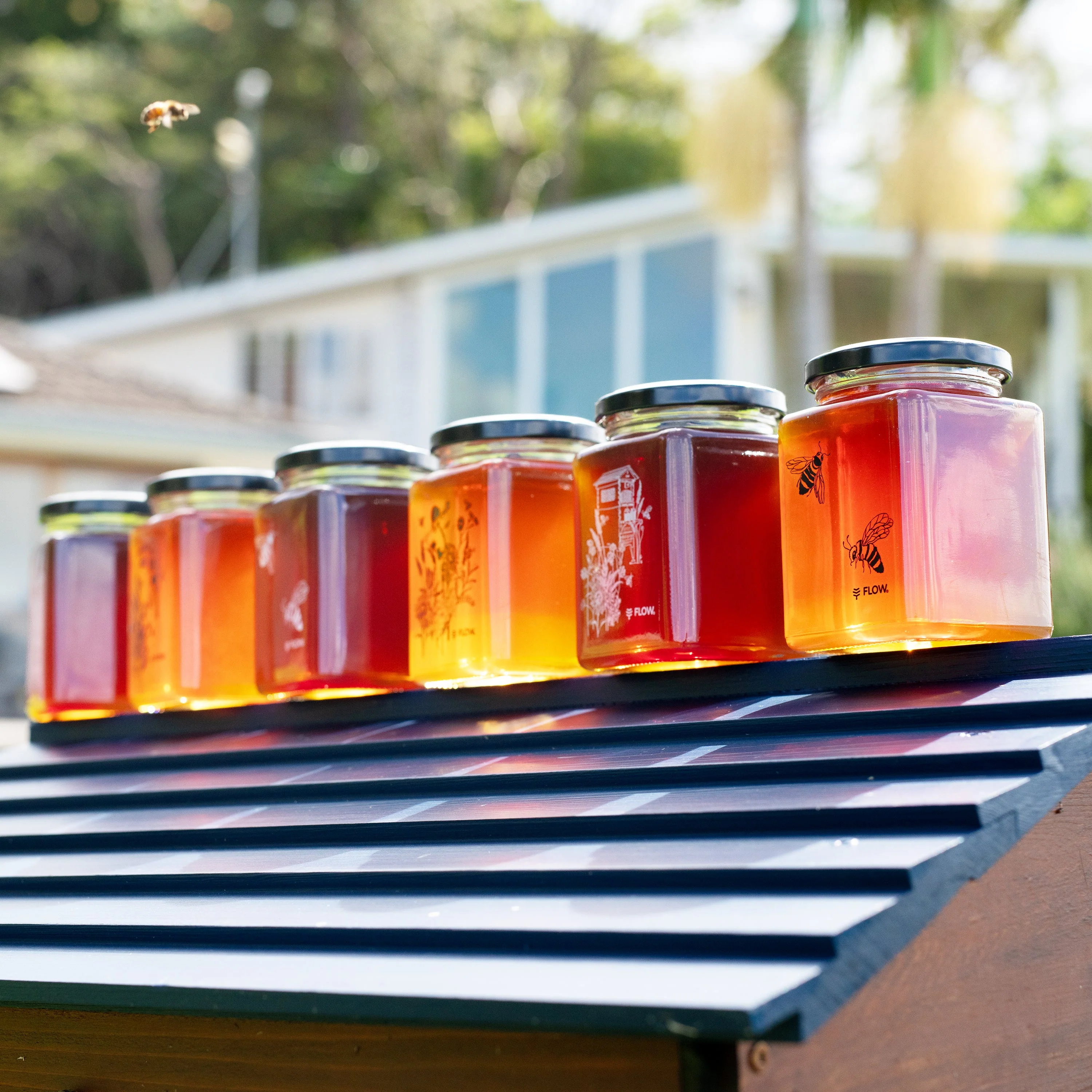 Flow Honey Jar Gift Set - Image 9