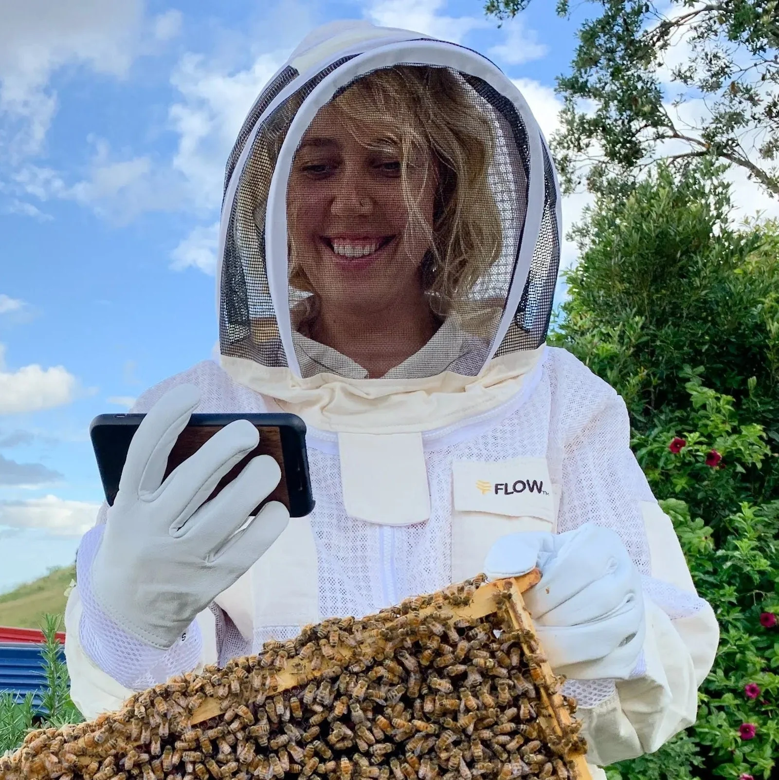 Online beekeeping course - monthly subscription - Image 2