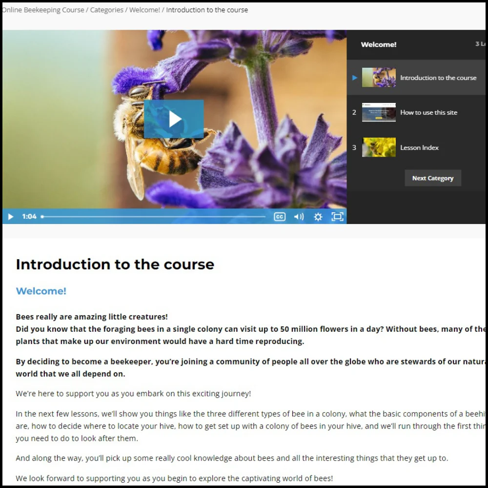 Online beekeeping course - yearly subscription - Image 3